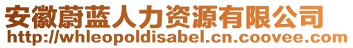 安徽蔚藍(lán)人力資源有限公司