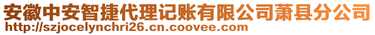 安徽中安智捷代理記賬有限公司蕭縣分公司