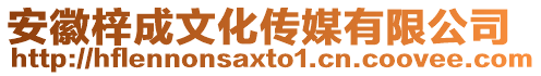 安徽梓成文化傳媒有限公司