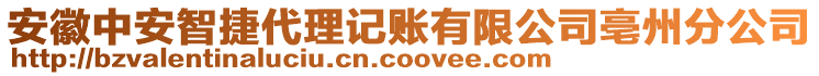 安徽中安智捷代理記賬有限公司亳州分公司