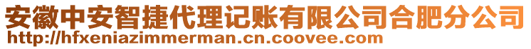 安徽中安智捷代理記賬有限公司合肥分公司