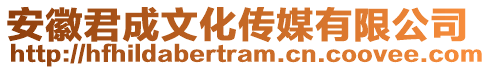 安徽君成文化傳媒有限公司