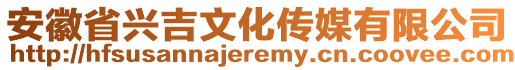 安徽省興吉文化傳媒有限公司