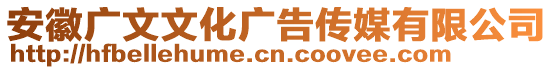 安徽广文文化广告传媒有限公司