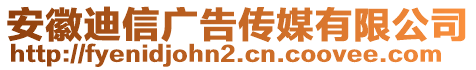 安徽迪信广告传媒有限公司