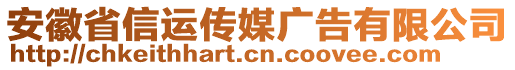 安徽省信运传媒广告有限公司