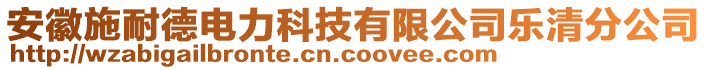 安徽施耐德電力科技有限公司樂清分公司