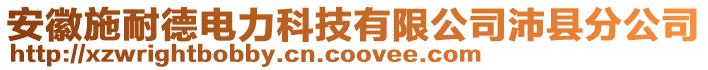 安徽施耐德電力科技有限公司沛縣分公司