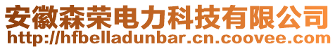 安徽森榮電力科技有限公司