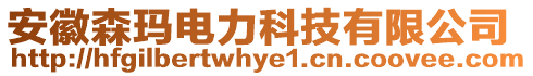 安徽森瑪電力科技有限公司