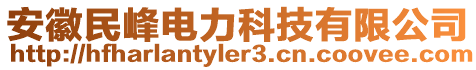 安徽民峰电力科技有限公司