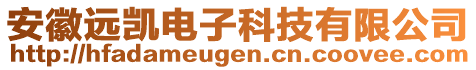 安徽遠凱電子科技有限公司