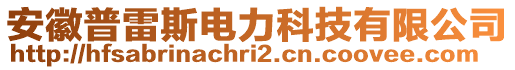 安徽普雷斯電力科技有限公司