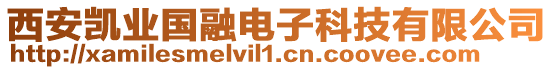 西安凱業國融電子科技有限公司