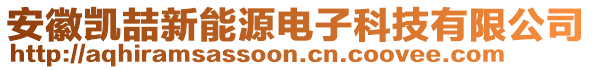 安徽凱喆新能源電子科技有限公司