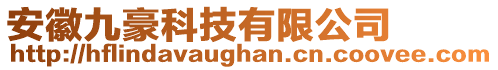 安徽九豪科技有限公司