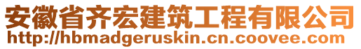 安徽省齊宏建筑工程有限公司