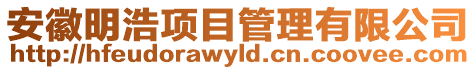 安徽明浩項目管理有限公司