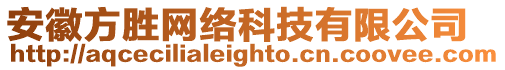 安徽方勝網絡科技有限公司
