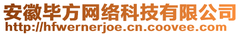 安徽畢方網(wǎng)絡(luò)科技有限公司