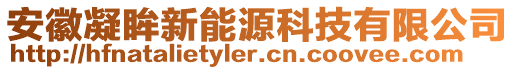 安徽凝眸新能源科技有限公司