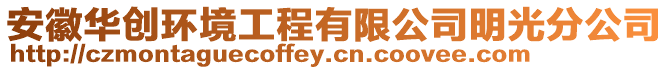 安徽華創(chuàng)環(huán)境工程有限公司明光分公司