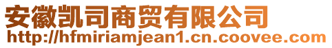 安徽凱司商貿有限公司