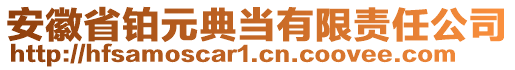 安徽省鉑元典當(dāng)有限責(zé)任公司