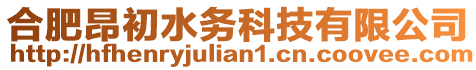 合肥昂初水務(wù)科技有限公司