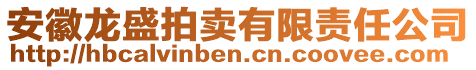 安徽龍盛拍賣有限責任公司