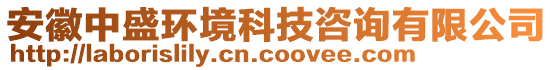 安徽中盛環(huán)境科技咨詢有限公司