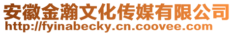 安徽金瀚文化傳媒有限公司