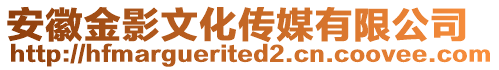 安徽金影文化傳媒有限公司