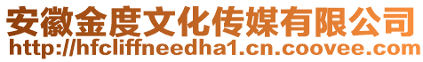 安徽金度文化傳媒有限公司