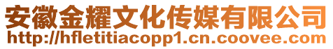 安徽金耀文化傳媒有限公司