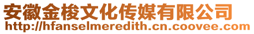 安徽金梭文化傳媒有限公司