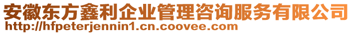 安徽東方鑫利企業(yè)管理咨詢服務(wù)有限公司