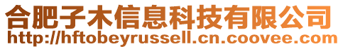 合肥子木信息科技有限公司