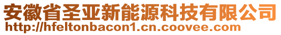 安徽省圣亞新能源科技有限公司