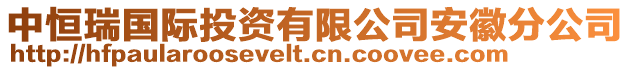 中恒瑞國(guó)際投資有限公司安徽分公司