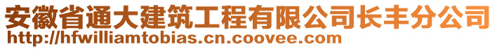 安徽省通大建筑工程有限公司長(zhǎng)豐分公司