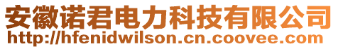 安徽諾君電力科技有限公司