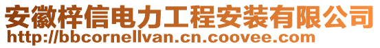 安徽梓信電力工程安裝有限公司