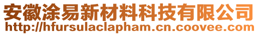 安徽涂易新材料科技有限公司