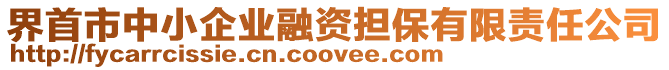 界首市中小企業(yè)融資擔保有限責任公司