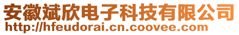 安徽斌欣電子科技有限公司