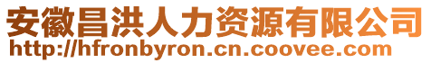 安徽昌洪人力資源有限公司