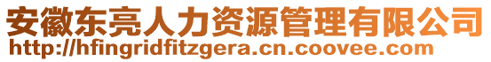 安徽東亮人力資源管理有限公司