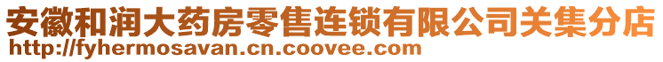 安徽和润大药房零售连锁有限公司关集分店