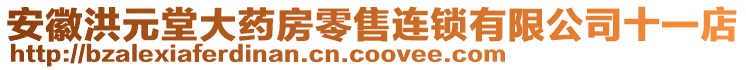 安徽洪元堂大药房零售连锁有限公司十一店